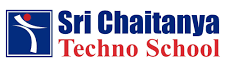 Mother Teacher at Sri Chaitanya Techno School 